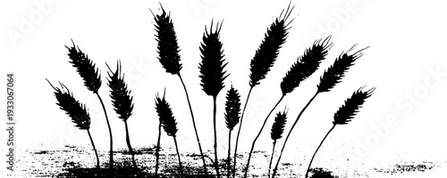 Abstract wheat awn silhouette in high contrast stencil style for natural design