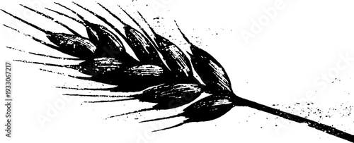 Abstract wheat ear silhouette in high contrast stencil style for design and decoration