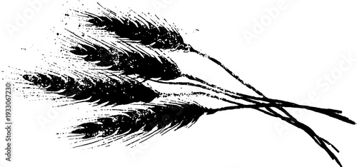 High contrast wheat ear silhouette in stencil style for design projects