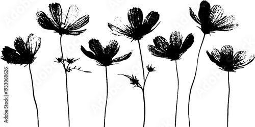 Wildflower petal silhouette in high contrast stencil style for artistic design