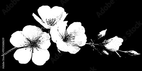 Abstract wildflower petals in high contrast stencil style for nature-themed designs