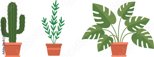 Flat vector set of three potted houseplants including cactus, leafy plant, and tropical monstera. Perfect for home decor themes, indoor gardening, botanical graphics, and modern lifestyle designs.