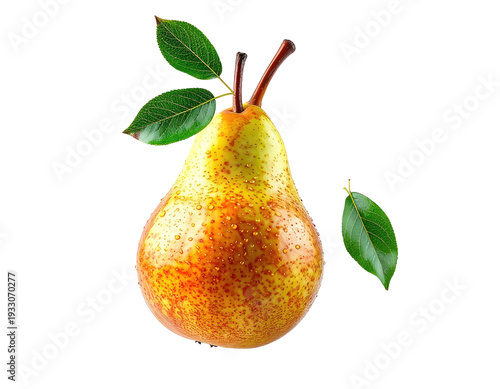 A ripe, yellow and red pear with water droplets and two green leaves