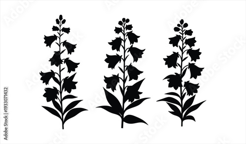 Three floral silhouettes of foxglove flowers with bell shapes and leafy stems