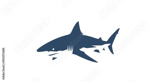 Dark Blue Shark Silhouette Swimming in Clear Water