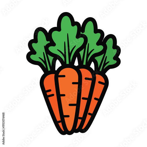 Freshly harvested orange carrots with green leaves, viewed from the front, in a simple illustration style, representing a healthy snack or ingredient.