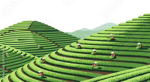 Terraced Hillside Farming Landscape