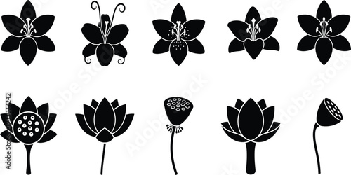Collection of black lotus and lily flower silhouettes featuring various blooming stages and seed pods for zen yoga spa wellness and oriental nature design