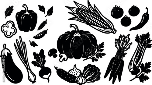 Flat silhouette vector top view assorted vegetables pumpkin corn carrot eggplant tomato garlic pepper celery parsley basil mushrooms leek radish