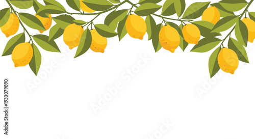 Lemon Vine Border Illustration