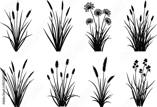 Black Wild Grass and Cattail Silhouette Set with Botanical Reeds and Meadow Plant Elements for Nature Landscape Design and Outdoor Themed Graphics