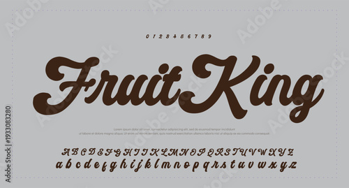 Elegant Script Font Alphabet Typography 