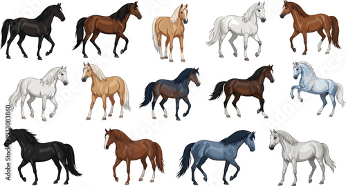Set of Various Horse Vector Illustrations in Different Colors and Poses for Animal and Equestrian Designs