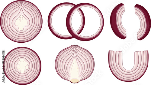 Red onion slices vector set. Cross section and ring cut illustration. Fresh vegetable layers isolated on background.