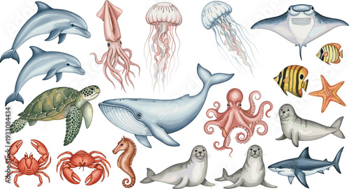 Marine sea animals collection ocean wildlife aquatic creatures vector illustrationMarine sea animals collection ocean wildlife aquatic creatures vector illustration