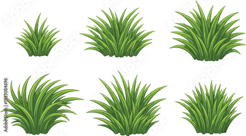 Set of Green Grass Tufts and Lawn Plant Illustrations for Landscape Design, Garden Backgrounds, Architectural Visualization, and Nature Themed Vector Graphics