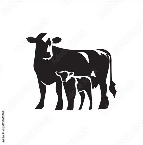  Angus Cow and Calf Vector Image