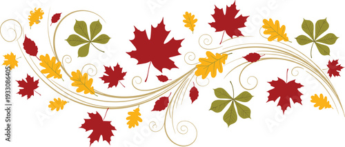Autumn leaves decorative swirl border seasonal fall floral vector illustration