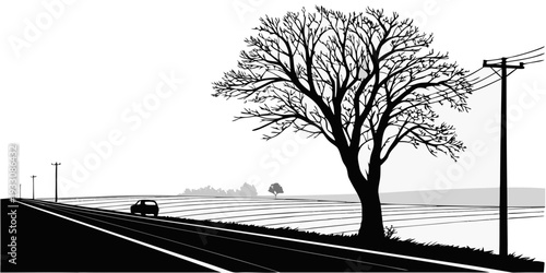 A lone tree stands tall on the edge of a vast, open field near a distant horizon. Vector