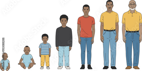 Human male growth and aging illustration showing life stages from infant to elderly, ideal for education, development concepts, health, psychology, and generational storytelling projects.