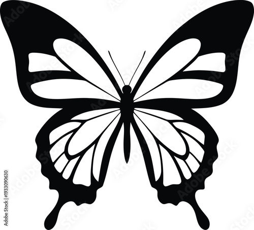 A black and white illustration of a butterfly with detailed wings and body on a plain background