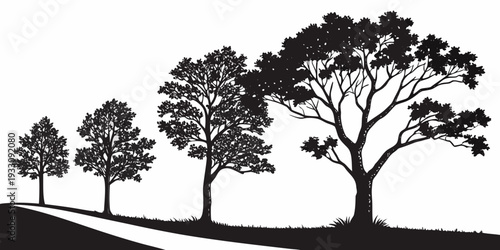 Silhouettes of trees on a hillside under a clear sky at sunset. Vector