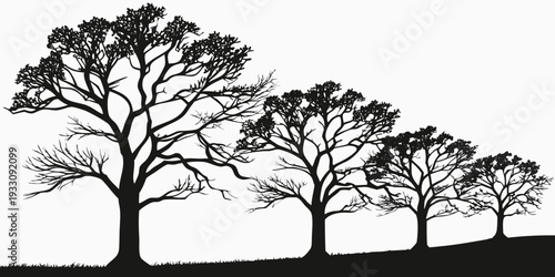 A serene landscape featuring a row of tall, leafless trees against a clear sky. Vector