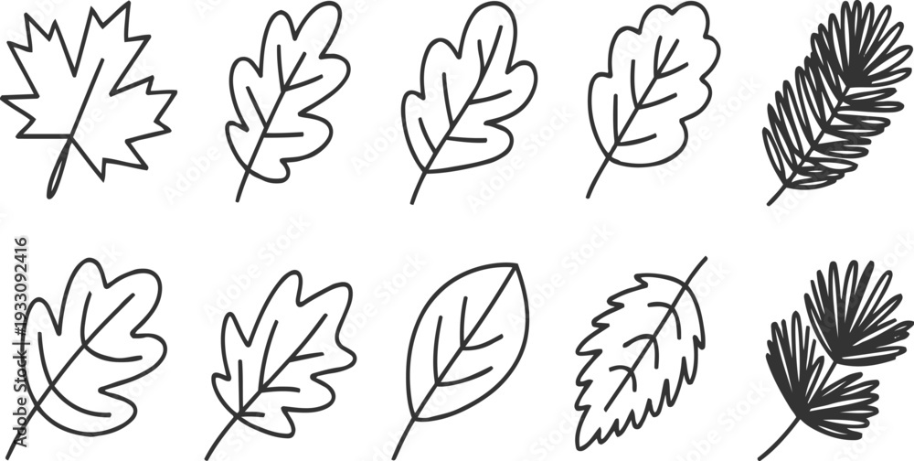 Fototapeta premium Collection of hand drawn line autumn and pine leaves leaf maple