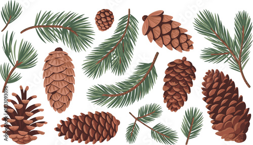 Pine cones and branches illustration set, foliage vector artwork, botanical design graphics, forest icons collection, seasonal nature symbol