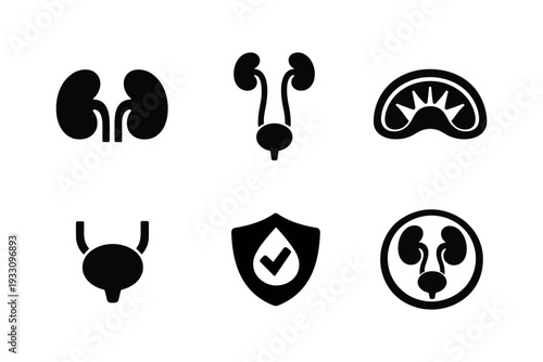 kidney urinary system medical protection solid black icon set vector illustration