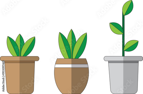 Minimalist flat vector illustration set of three green indoor houseplants growing in different decorative flowerpots for natural home interior decor and botanical garden designs.