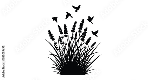 Lavender field with flying birds in a striking black silhouette