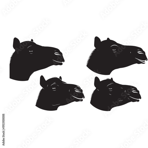 Camel Face Silhouette Set Black and White Vector Illustration

Camel Head Silhouette Collection Minimal Black White Design

Camel Face Outline Silhouette Pack Monochrome Vector Art