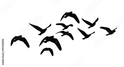 A flock of birds in flight depicted as a dark silhouette