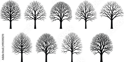 Bare Winter Tree Silhouette Set Featuring Various Deciduous Branch Patterns Without Leaves For Nature Landscape Design Elements Black Vector Illustration