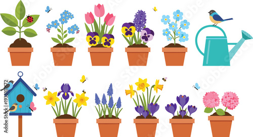 Potted garden flowers collection with spring plants watering can and decorative botanical elements