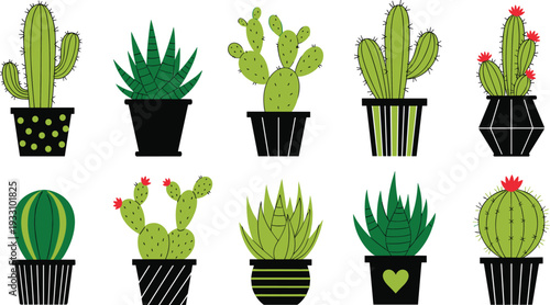 Cute cactus and succulent plants collection in decorative pots flat cartoon vector illustration set