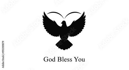 A striking black bird with outstretched wings a powerful silhouette