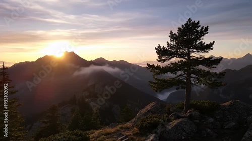 Sunrise over the mountains with a lone tree.