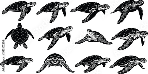 Sea turtle silhouette collection marine wildlife ocean animal vector illustration set