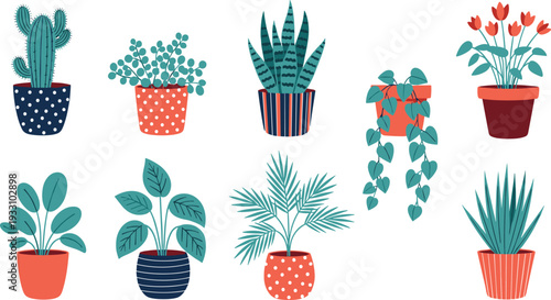 Decorative houseplants collection with cacti succulents flowers and foliage in colorful pots flat vector illustration set
