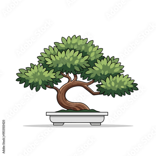 Bonsai Tree in White Pot, Miniature Tree Art, Japanese Garden Style, Green Foliage