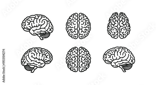 Stylized illustration of human brains in various orientations and perspectives