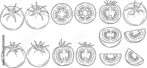 Tomato hand drawn outline set. Whole and sliced tomato sketch collection with seed detail. Black and white vegetable illustration isolated on white background.