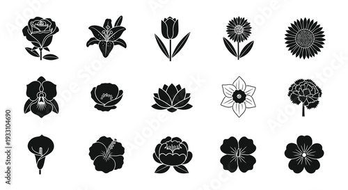 Collection of various black and white floral silhouettes displayed in a grid pattern