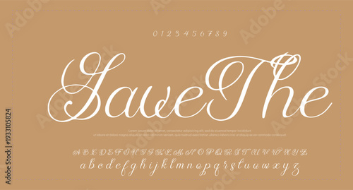 Script Brush Font Type Font lettering handwritten. vector illustration  