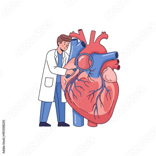 Doctor examining human heart with magnifying glass, cardiology concept