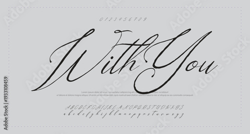 Elegant Signature Font. Best Alphabet Beautiful Calligraphy Signature Font 