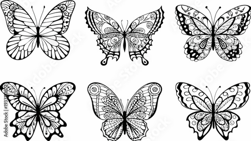 Beautiful butterflies with intricate designs and patterns