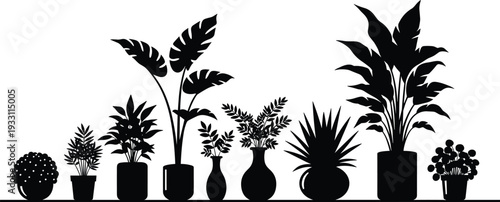 Indoor houseplants black silhouette collection decorative potted plants botanical vector illustration